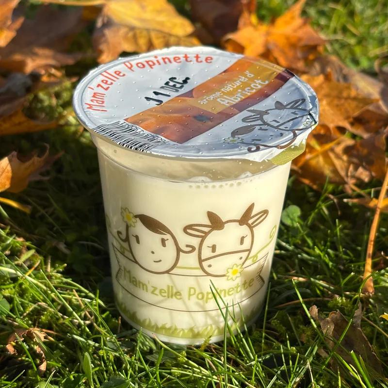 YAOURT AROMATISE ABRICOT