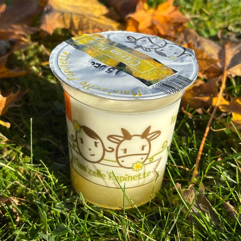 BRASSE SUR LIT DE FRUIT: CITRON YUZU