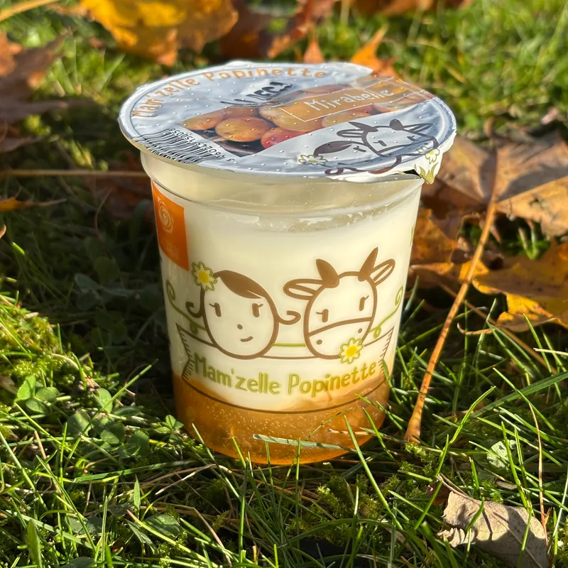 BRASSE SUR LIT DE FRUIT : MIRABELLE