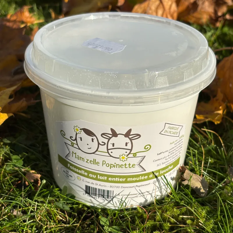FAISSELLE AU LAIT ENTIER PASTEURISE 500g