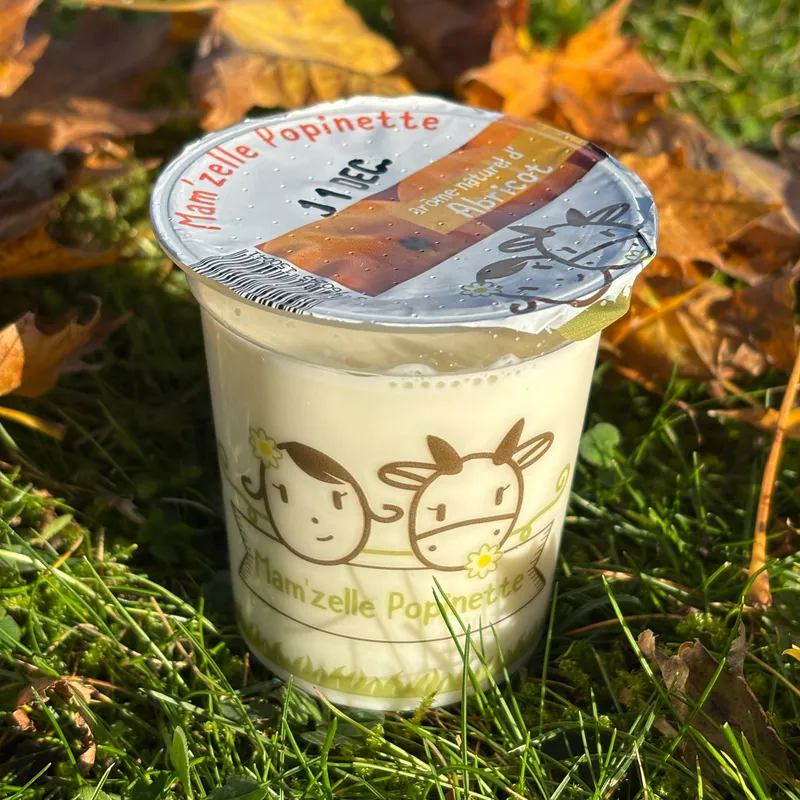 YAOURT AROMATISE ABRICOT