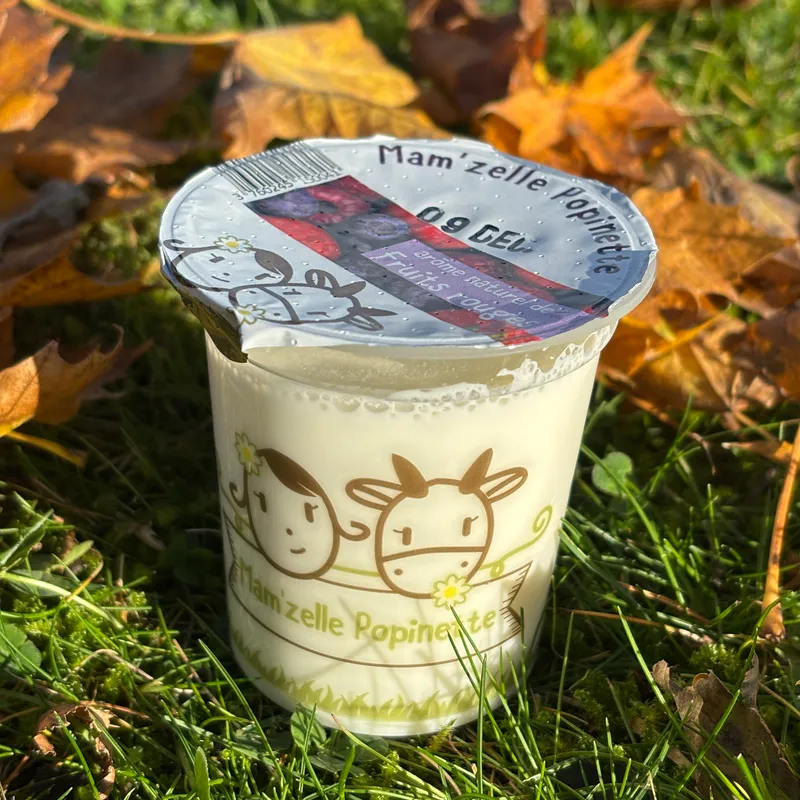 YAOURT AROMATISE AUX FRUITS ROUGES