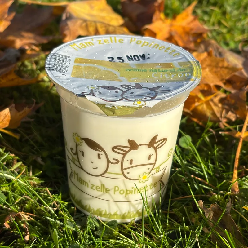 YAOURT AROMATISE CITRON